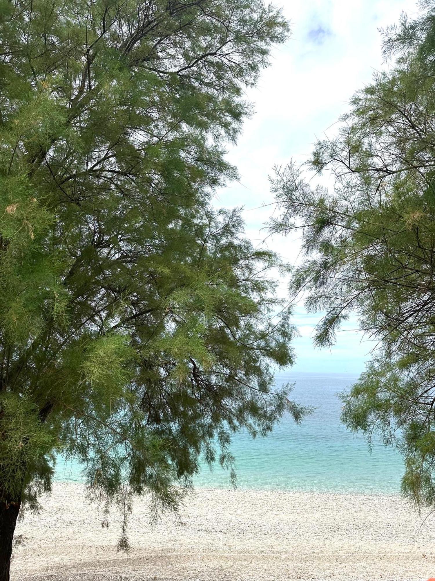 Potami Seashell Hotell *